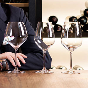 Riedel Vinum Extreme Wine Glasses