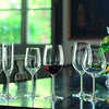 Riedel Wine Series Wine Glasses
