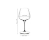 Grape@Riedel Pinot Noir/Nebbiolo/Aperitivo